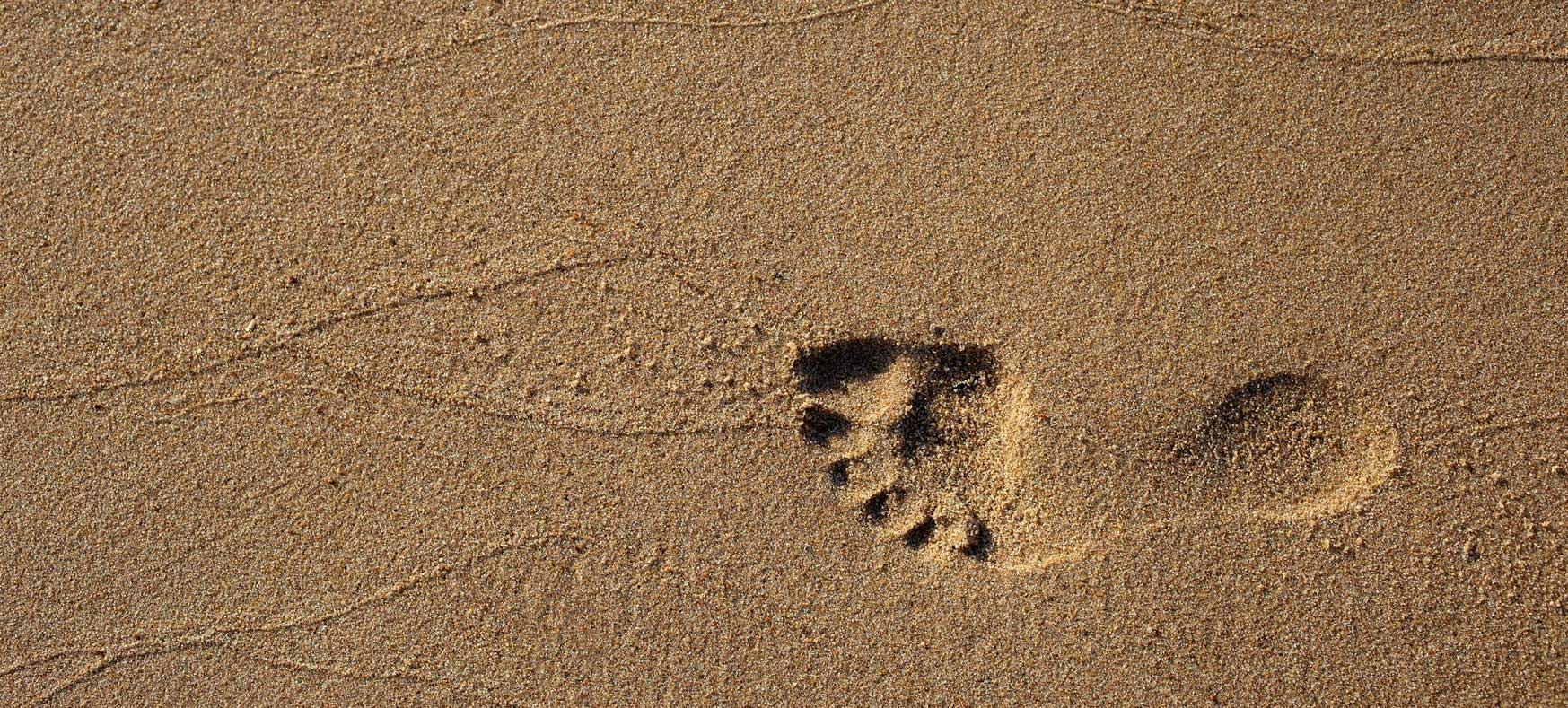 Water scarcity: a growing threat to tourism and business survival