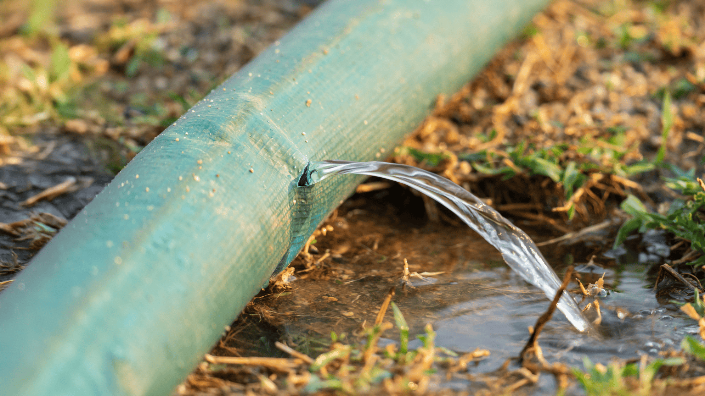 Leaks, floods and continuity planning: why preparing for the worst is more important than you might think