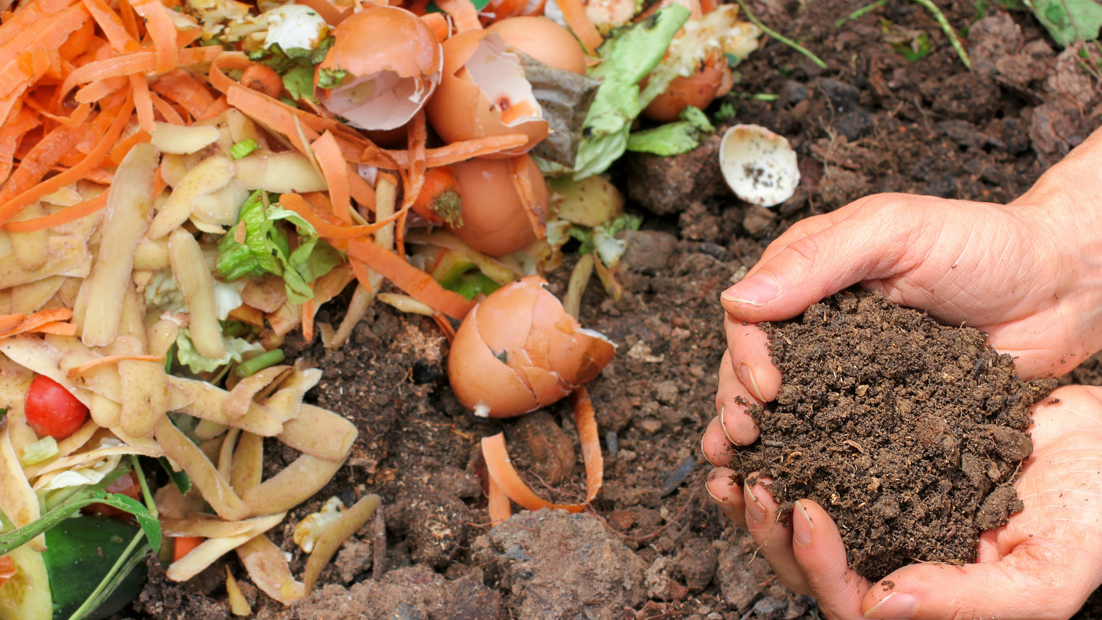 5 composting tips for conscientious businesses